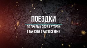 По грибы ( 2026 ) второй ( так себе ) раз в сезоне