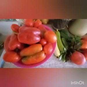 Обзор участка 20 августа.