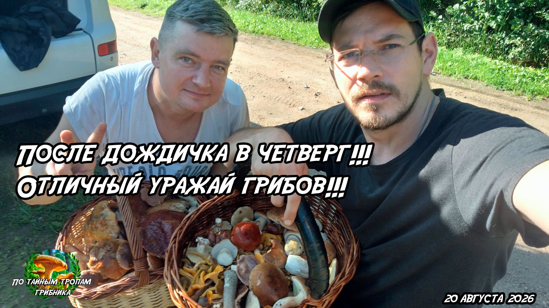 После дождичка в четверг! Отличный урожай грибов! 20 августа 2026
