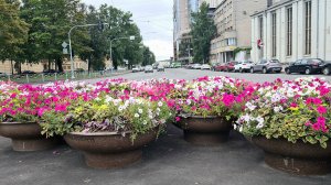 Санкт-Петербург. Прогулки по городу.
