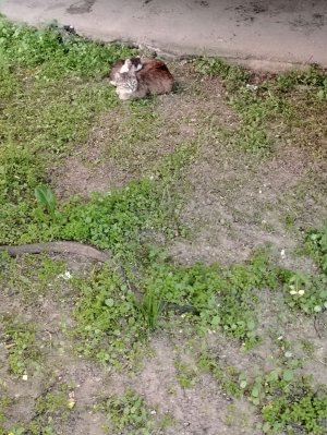 Гимнастика часть 2