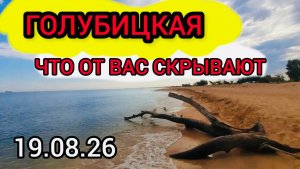 🔥 ГОЛУБИЦКАЯ 🔥 Что от вас скрывают? #голубицкая #азовскоеморе #сезон2026