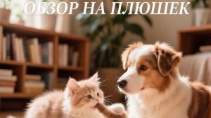 вот все плюшки которые будут сниматься пж читайте описание 😔