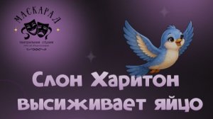 «Слоны не бросают на ветер слова» 24 мая 2026