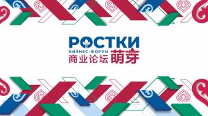 Интервью ТАСС с А. И. Тулаевым, Международный форум «РОСТКИ» 2026