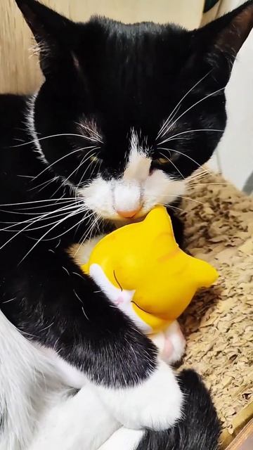 👑 А вы можете притвориться, что я блогер милионник?