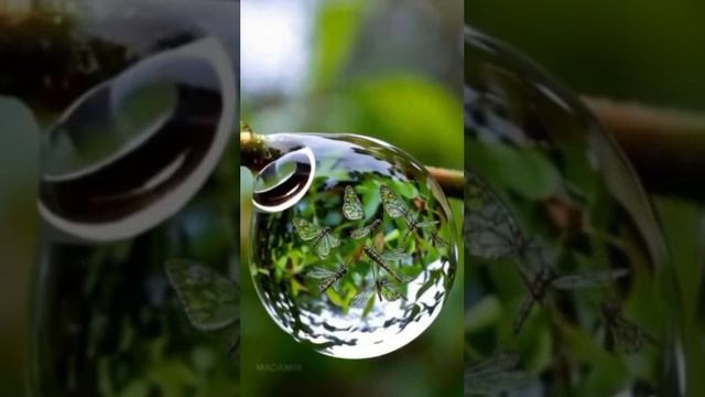 Видео шедевры ИИ