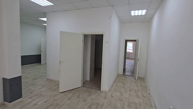 ферина, 31