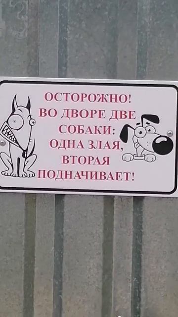 ИДЕАЛЬНОЕ ОБЪЯВЛЕНИЕ
