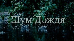 Вечер наедине с природой. Шум ночного ливня для расслабления и сна (Живой звук / 1 час)