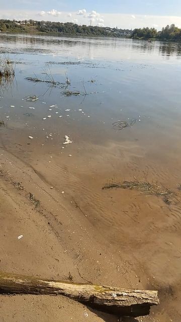 Рыбак,р Ока.Вода убывает.20.08.2026г.