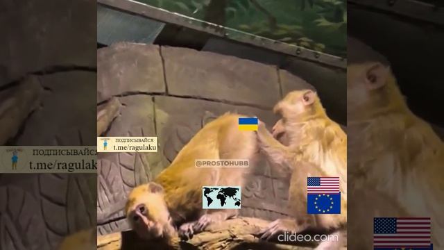 Вот так  европейцы с пиндосами ищут на картах мира Кукраину)😀