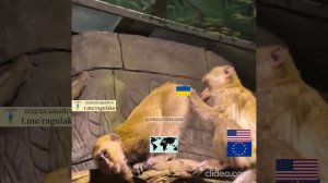 Вот так  европейцы с пиндосами ищут на картах мира Кукраину)😀