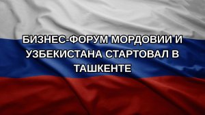 Бизнес-форум Мордовии и Узбекистана стартовал в Ташкенте