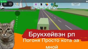 Видео про то как я с московским другом Киром играю в брукхейвен рп и аномальная больница