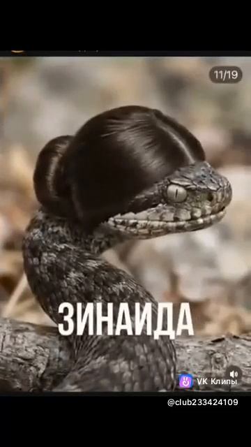 из интернета