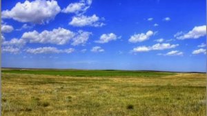 СТЕПНАЯ ДАЛЬ
