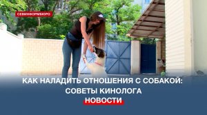 Как наладить отношения с собакой: советы кинолога