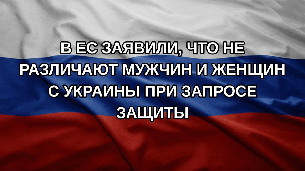 В ЕС заявили, что не различают мужчин и женщин с Украины при запросе защиты