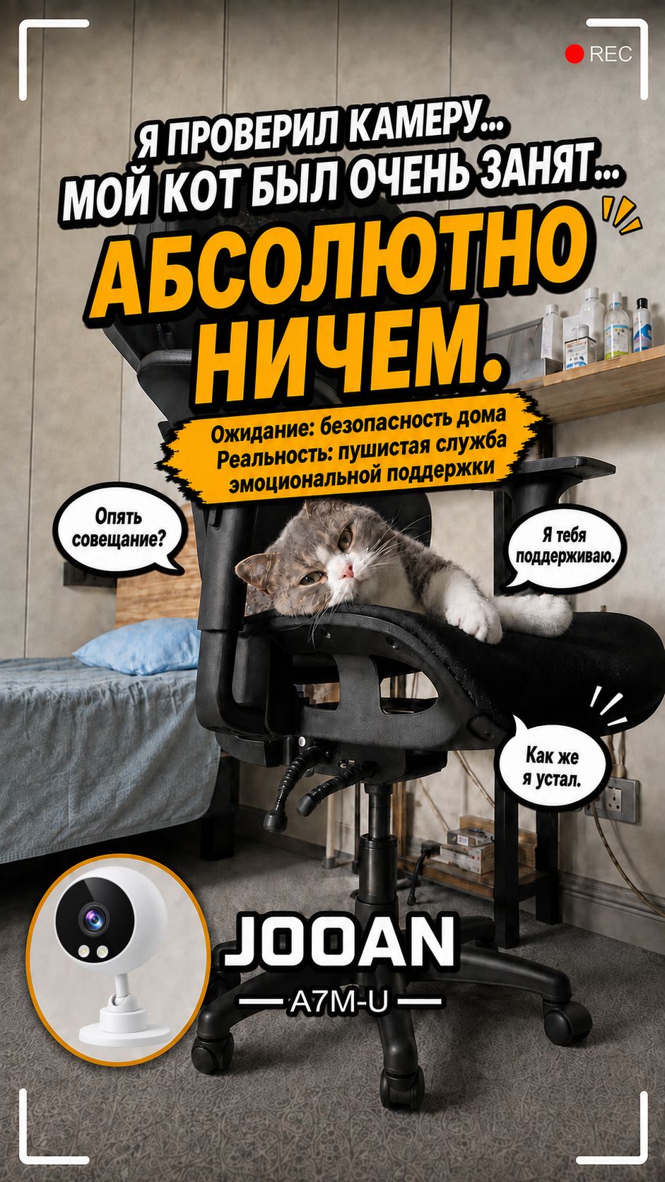 Проверил камеру на работе и обнаружил, что мой кот очень занят… абсолютно ничем. 😂