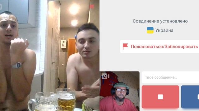 Две врущих укросвинки.