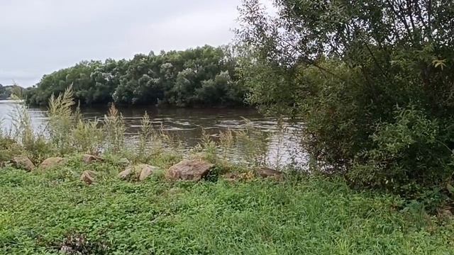 ДЕМОНИЧЕСКАЯ АТМОСФЕРА, КАК РАСПОЗНАТЬ / 19-08-2026