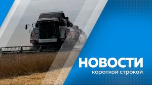 Новости короткой строкой 20.08.2026г.