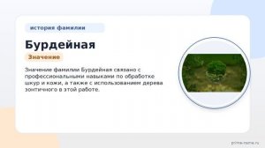Фамилия Бурдейная: происхождение, значение и склонение