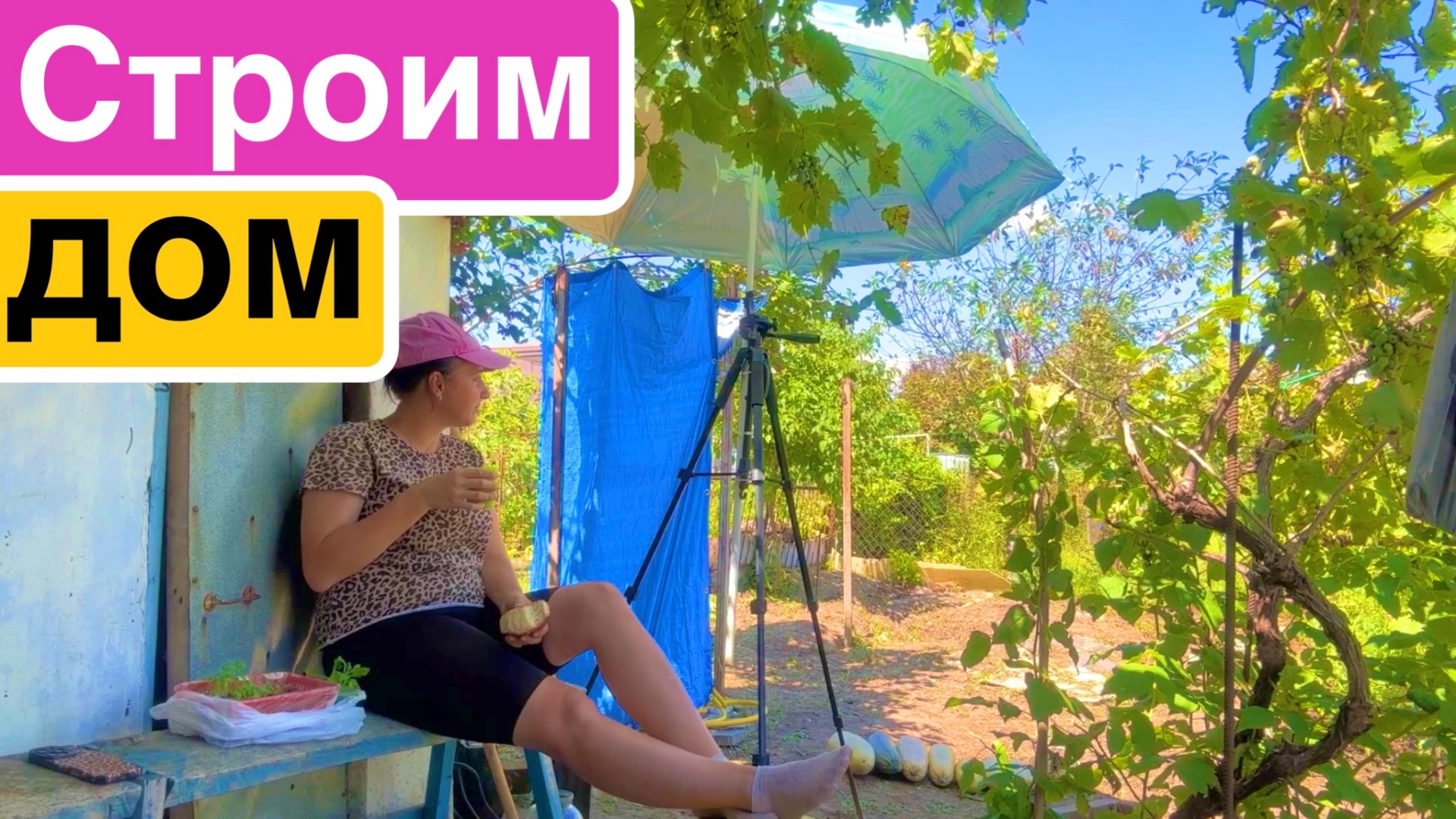 Строим дом / Купили окна и двери в новый дом / Уборка на участке