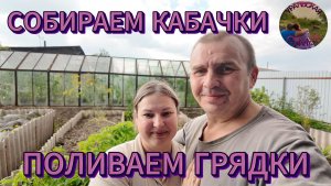 ПОЛИВАЕМ ОГОРОД,СОБИРАЕМ УРОЖАЙ
