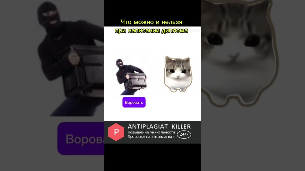 Всё запомнили?)  #юмор #универ #мемы #диплом