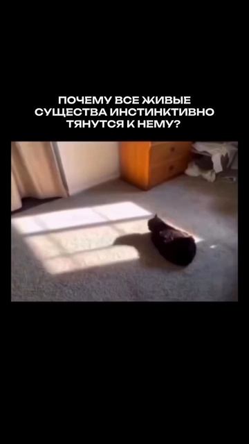 СОЛНЦЕ ОПАСНО ДЛЯ ЧЕЛОВЕКА?