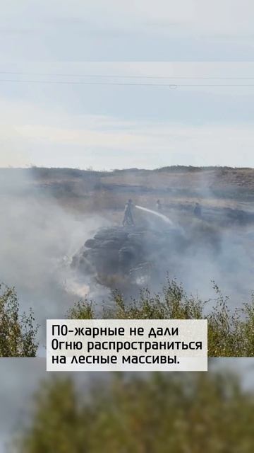 Пожар в Казахстане охватил площадь размером с 900 футбольных полей