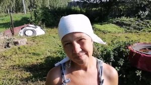 Садоводческое некоммерческое товарищество Ветеран 5 в Омском районе Омской области