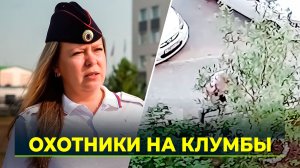Непорядочные ямальцы портят клумбы