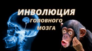 Теория эволюции не работает
