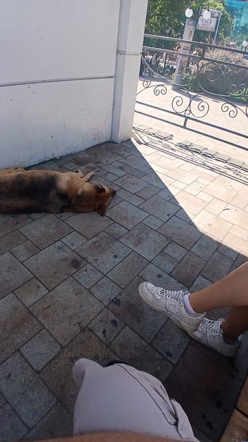 Сытость это так!