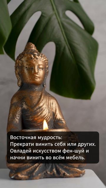 Мудрость дня (808) Хорошее настроение Short