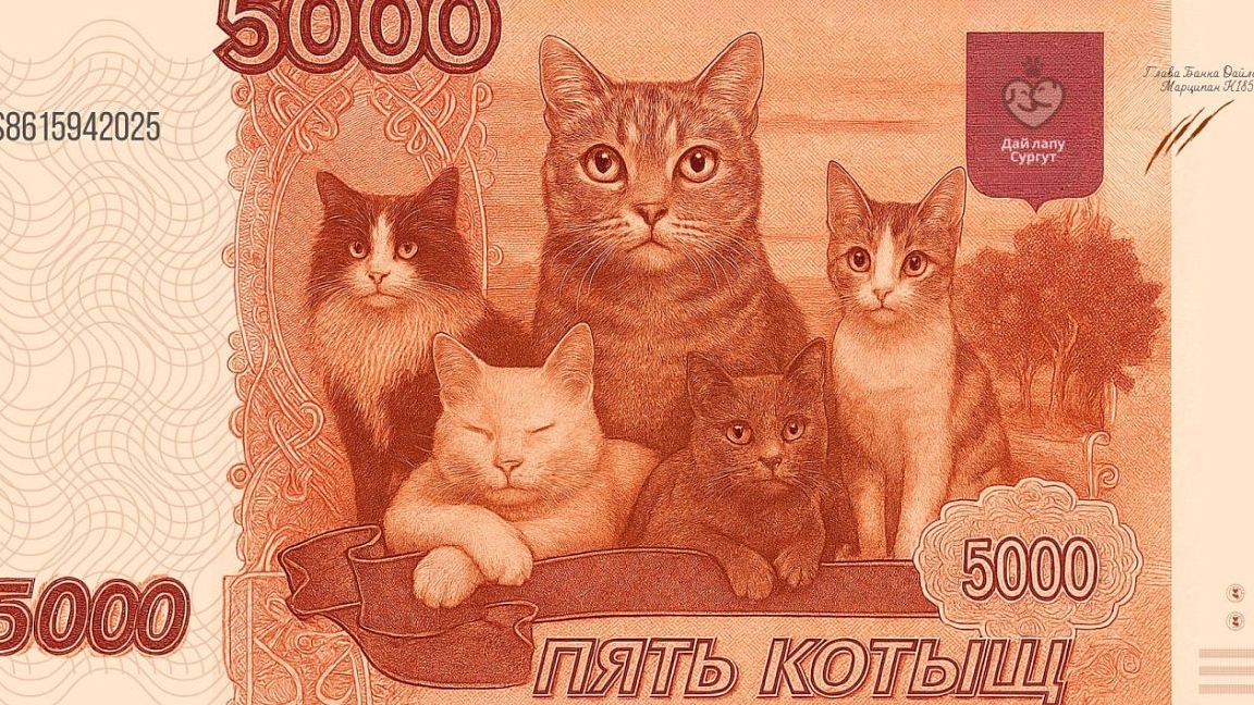 Как я зарабатываю лазая по мусоркам Питера? Dumpster Diving