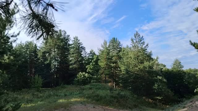 Вывел деньги с рутуба. Мои мысли по этому поводу
