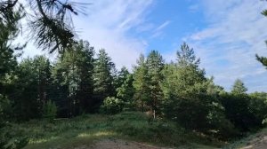 Вывел деньги с рутуба. Мои мысли по этому поводу