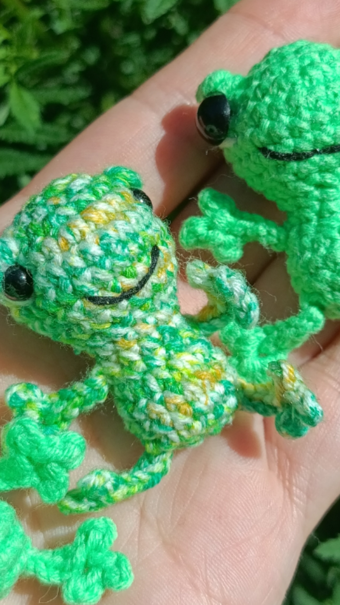 Лягушки-улыбаки🐸🐸🐸