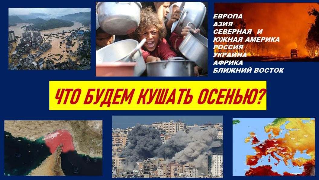 СТАНЕТ ЛИ УРОЖАЙ 2026 ОРУДИЕМ МИРОВОЙ ПОЛИТИКИ? ТАРО-ПРОГНОЗ