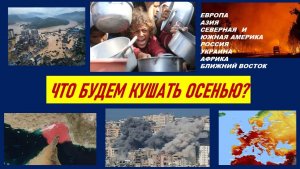 СТАНЕТ ЛИ УРОЖАЙ 2026 ОРУДИЕМ МИРОВОЙ ПОЛИТИКИ? ТАРО-ПРОГНОЗ