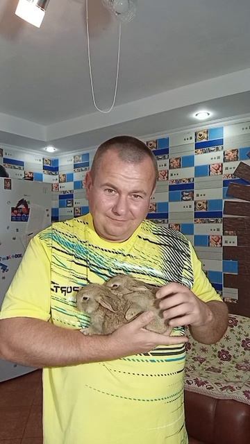 кролики