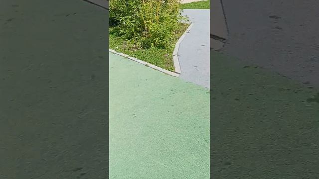 прятки