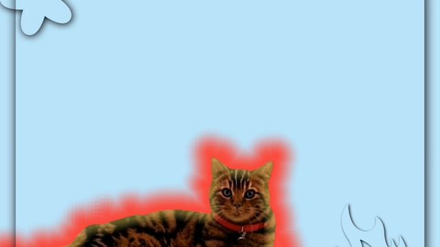 //Котик\\(Хозяин есть)