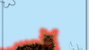 //Котик\\(Хозяин есть)