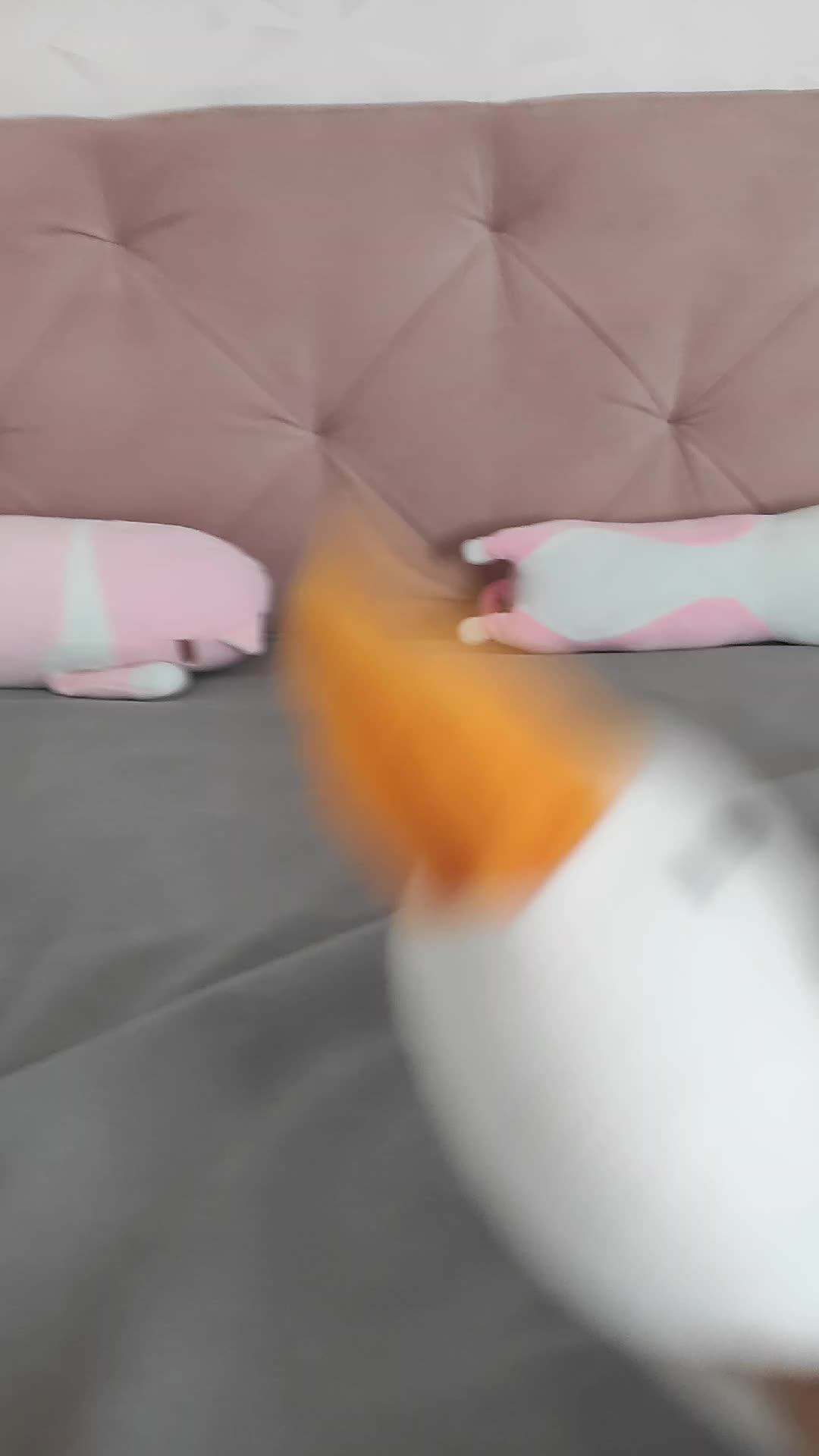 страшилка