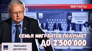 Семья мигрантов получает до 2,5 млн ₽ в год из бюджета — данные СПЧ